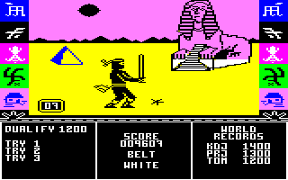 Screenshot of The Ninja Master