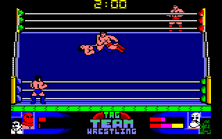 Screenshot of Tag Team Wrestling
