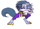 wolf"