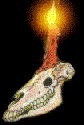 skull and candle animations