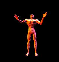 kicking animations