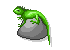 gecko animation