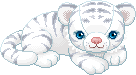 white tiger cub animation