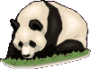 panda animation