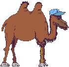 camel animation
