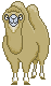 camel animation