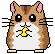 hamster animation