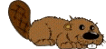 critter animation