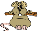 hamster animation