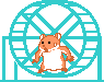 hamster in wheel animation