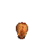 hamster bouncing  animation