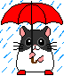 hamster in the rain with umberella animation