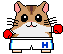 hamster boxer  animation