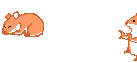 hamsters animation