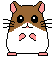 hamster animation