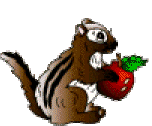 squirrel with apple  animation