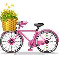 pink  bicycle with flowers animation