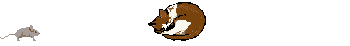 cat and mouse animation