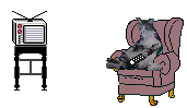 cat watching tv animation