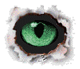 cat eye  animation