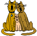 three singing cats  animation