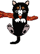 cat on line  animation