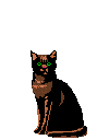cat meowing Welcome  animation