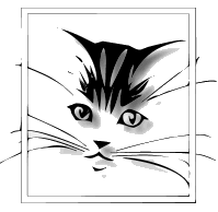 cat animation