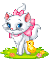white cat and chick animation