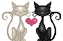 black cat on a red cushion animation