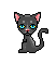 black cat animation