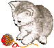 cat animation