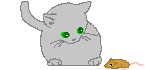 cat and mouse animation