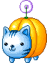 cat and pumpkinanimation