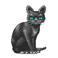 blackcat animation