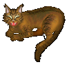 angry cat animation