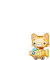 cat on a fish animation