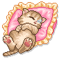 cat asleep on a cushion animation