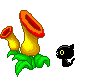  cat and flycatcher plant animation