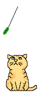 cat playing animation