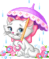 cat under an umberella  animation