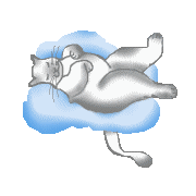 cat asleep animation