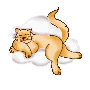 cat asleep animation