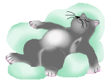 cat fast asleep animation
