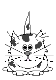 cat  animation