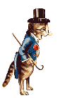 magic cat  animation