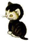 black and white kitten animation