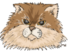 cat playing animation