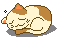   cat asleep animation