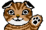 cat animation